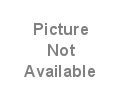 Rental store for TABLE, RHINO  8  x 30 in Eunice LA