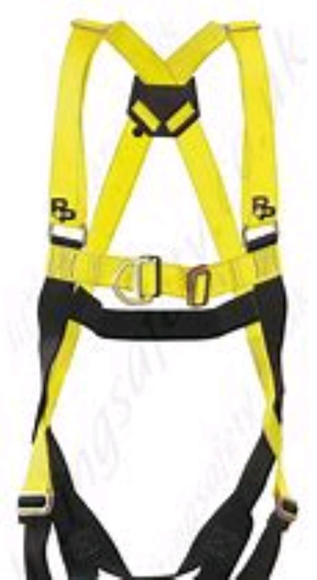 Rental store for HARNESS, SAFETY in Eunice LA
