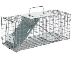 Rental store for TRAP, ANIMAL in Eunice LA