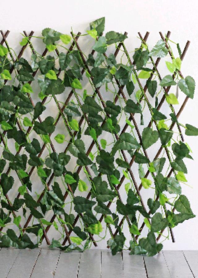 Rental store for BACK DROP, LEAF LATTICE in Eunice LA